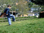 EDUCACION FISICA Y DEPORTE. FORMACION DEL PROFESORADO EN ANDALUCIA.