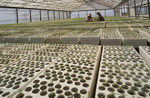 Grupo de Investigación de Recursos Naturales