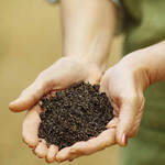 ECONOMIA E HISTORIA AGRARIA
