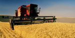 ECONOMIA E HISTORIA AGRARIA